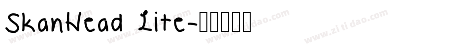 SkanHead Lite字体转换